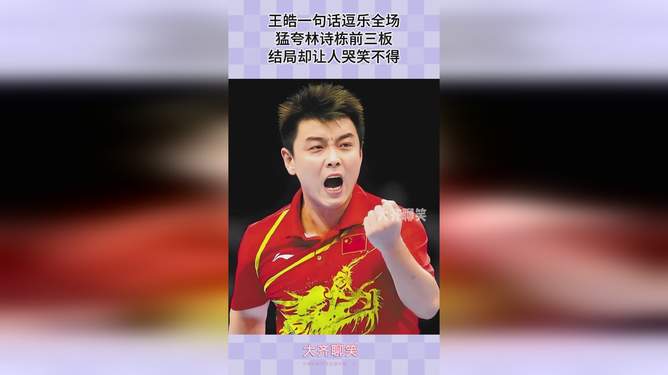 法国乒乓球队轻取波兰乒乓球队,王皓制霸全场 法国乒乓球队轻取波兰乒乓球队,王皓制霸全场