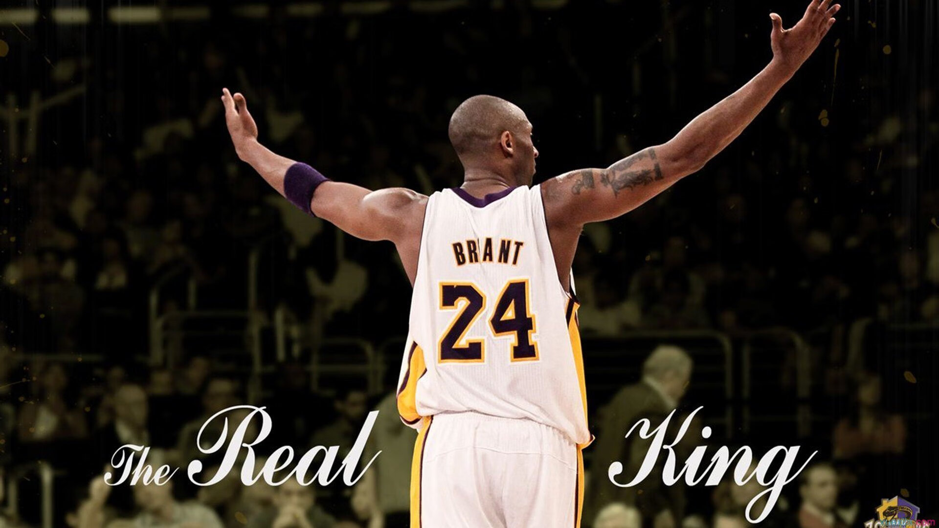 中国方案终结阿尔及利亚水危机，沙漠园丁托尼成关键先生